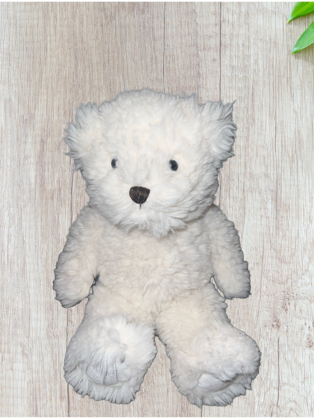 Pottery Barn Kids PBK White Teddy Bear Peanut 2015 Plush 11" Silky Soft